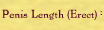 penis length (erect)